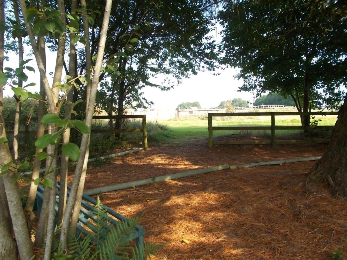 Tudor Lodge With Pool & Bbq Cabin 利斯卡德 外观 照片